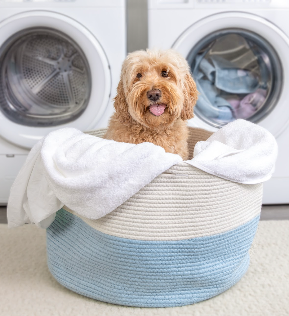 What Are Laundry Detergent Sheets and Why Use Them? – HeySunday